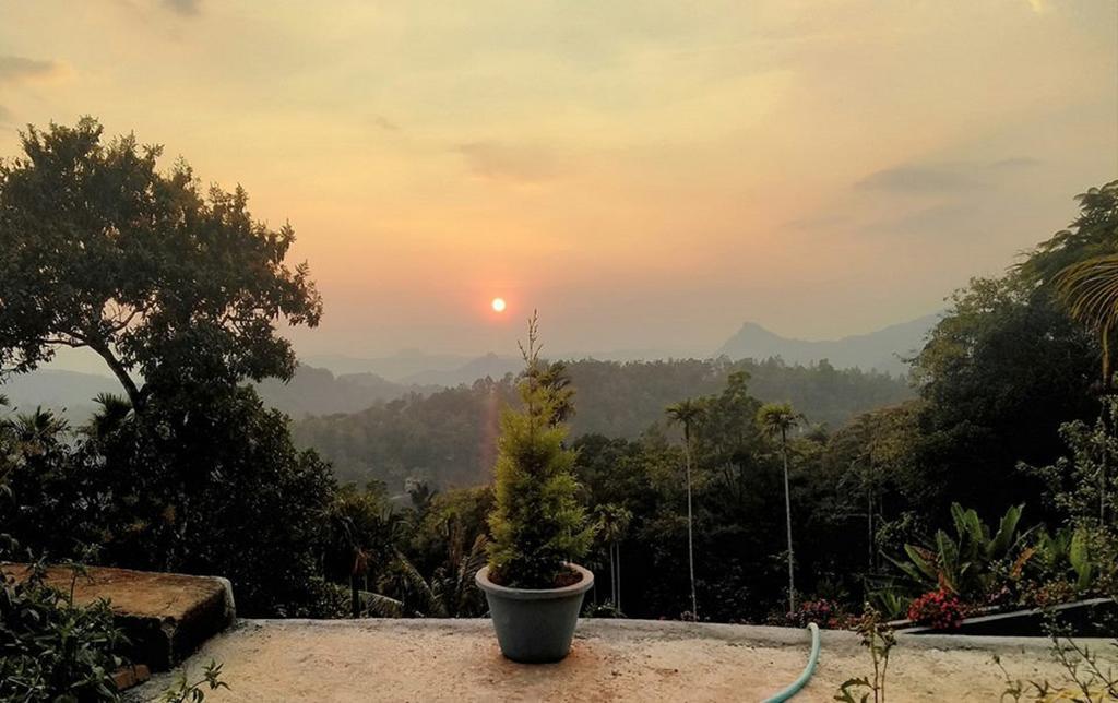 Munnar Heritage Cottage Eksteriør bilde