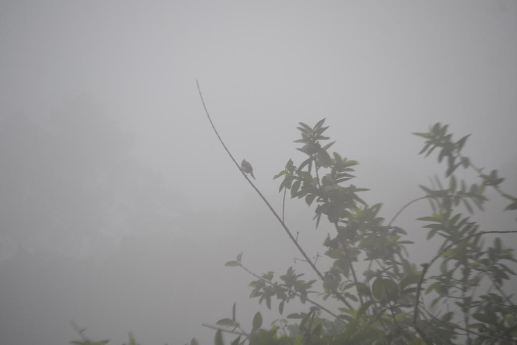 Munnar Heritage Cottage Eksteriør bilde